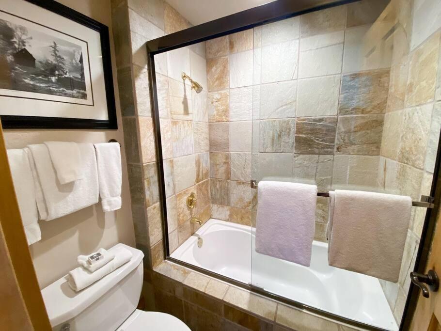 2 Bedroom Condominium - Luxury Skiin And Out Telluride Buitenkant foto