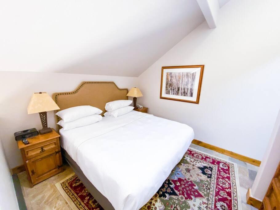 2 Bedroom Condominium - Luxury Skiin And Out Telluride Buitenkant foto